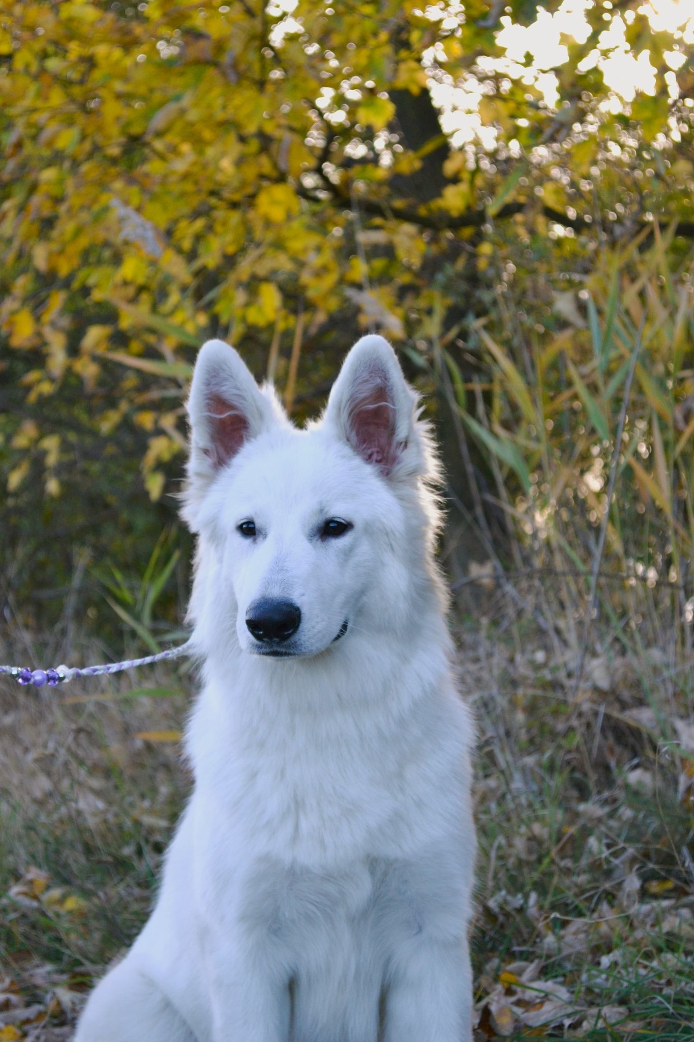 598171955_10225452879149257_3622489180965326950_n